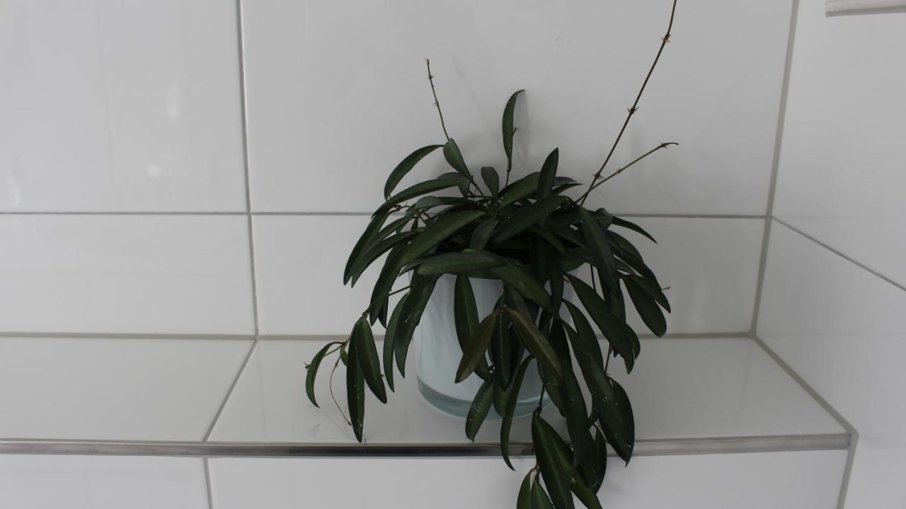 Appartement Maria Егг Екстер'єр фото